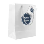 kraft paper bags logo eco friendly custom