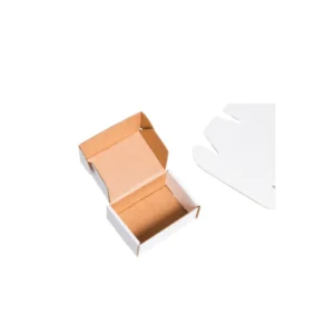 custom self locking mailer boxes packaging